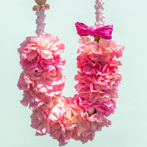 The Priscilla - Half and Half Carnation Lei